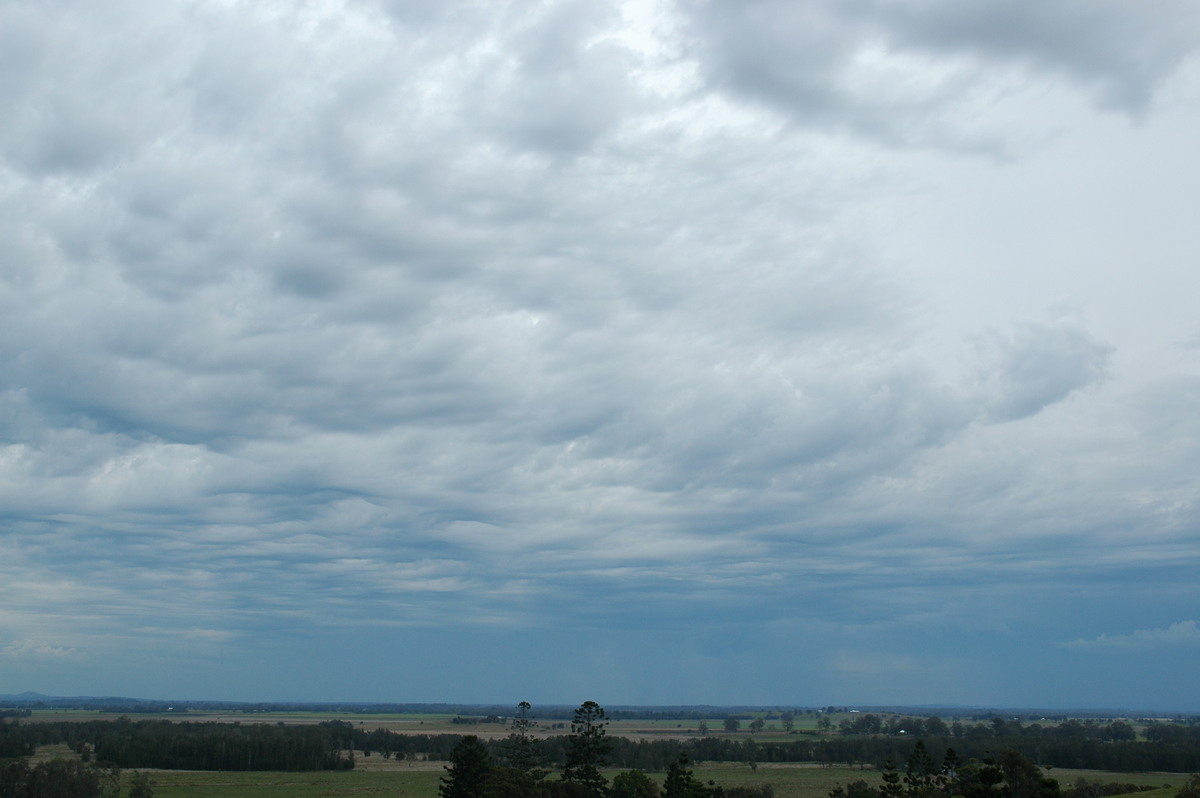 altocumulus altocumulus_cloud : Parrots Nest, NSW   27 September 2005