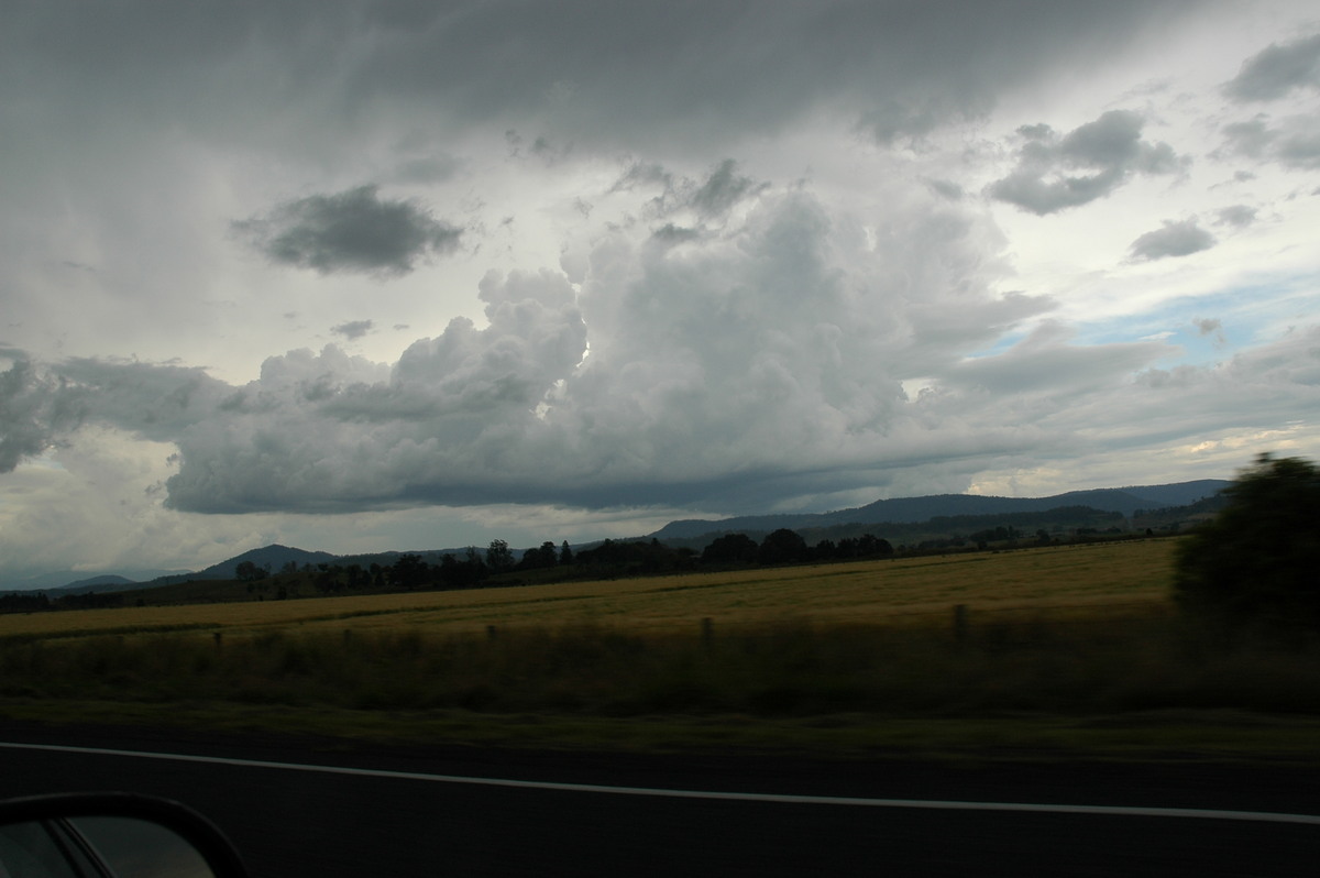 cumulus congestus : N of Casino, NSW   27 September 2005