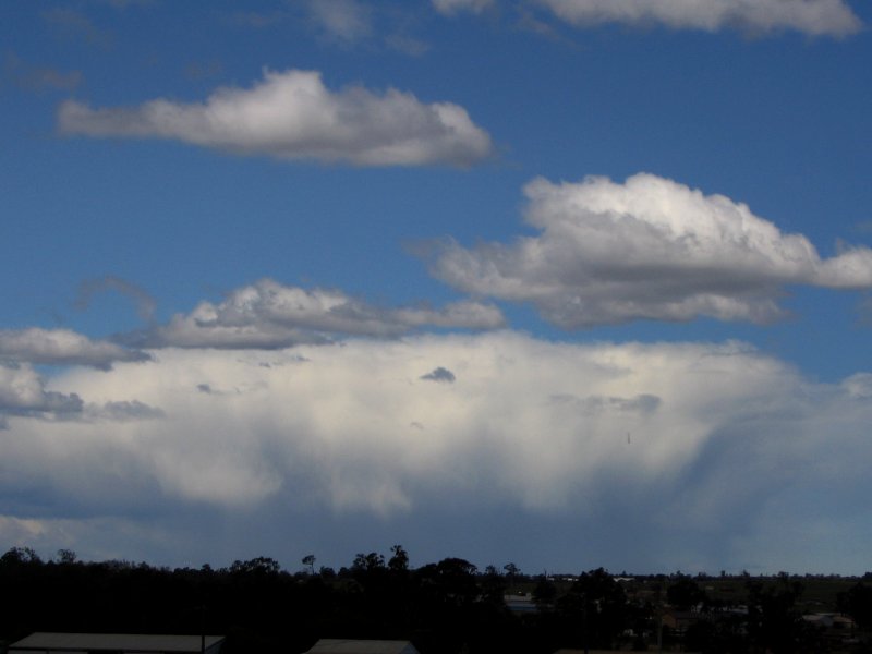 cumulus humilis : Schofields, NSW   29 September 2005