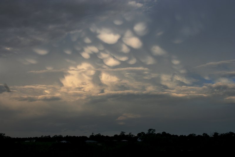 mammatus mammatus_cloud : Castlereagh, NSW   21 October 2005