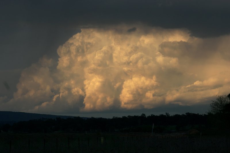 thunderstorm cumulonimbus_incus : Castlereagh, NSW   21 October 2005