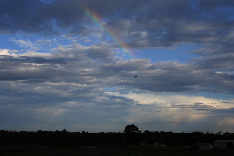 altocumulus altocumulus_cloud : Schofields, NSW   22 October 2005