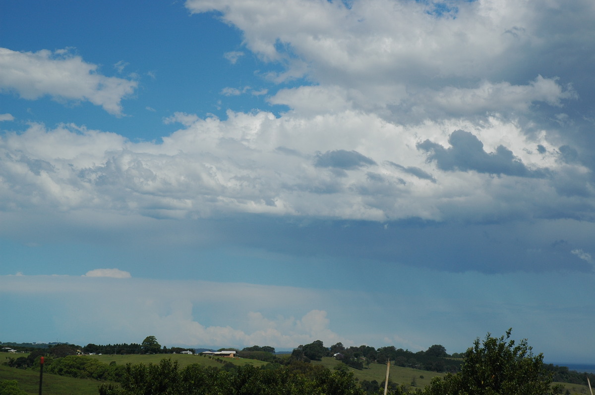 cumulus mediocris : Kyogle, NSW   22 October 2005