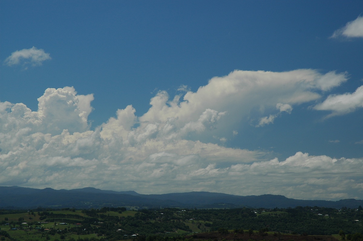 cumulus congestus : McLeans Ridges, NSW   23 October 2005