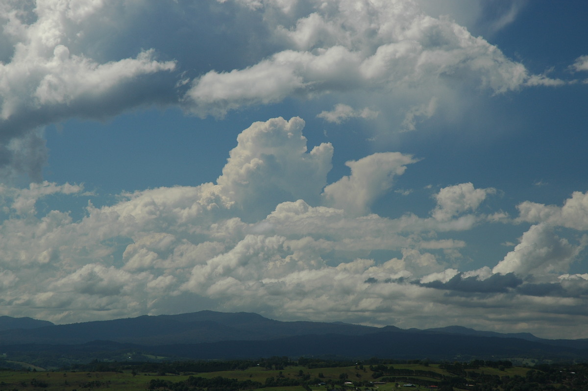 cumulus congestus : McLeans Ridges, NSW   23 October 2005