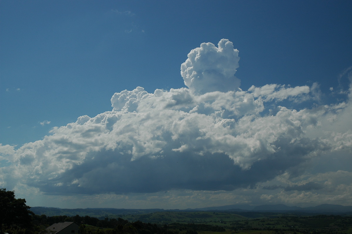 cumulus congestus : McLeans Ridges, NSW   23 October 2005