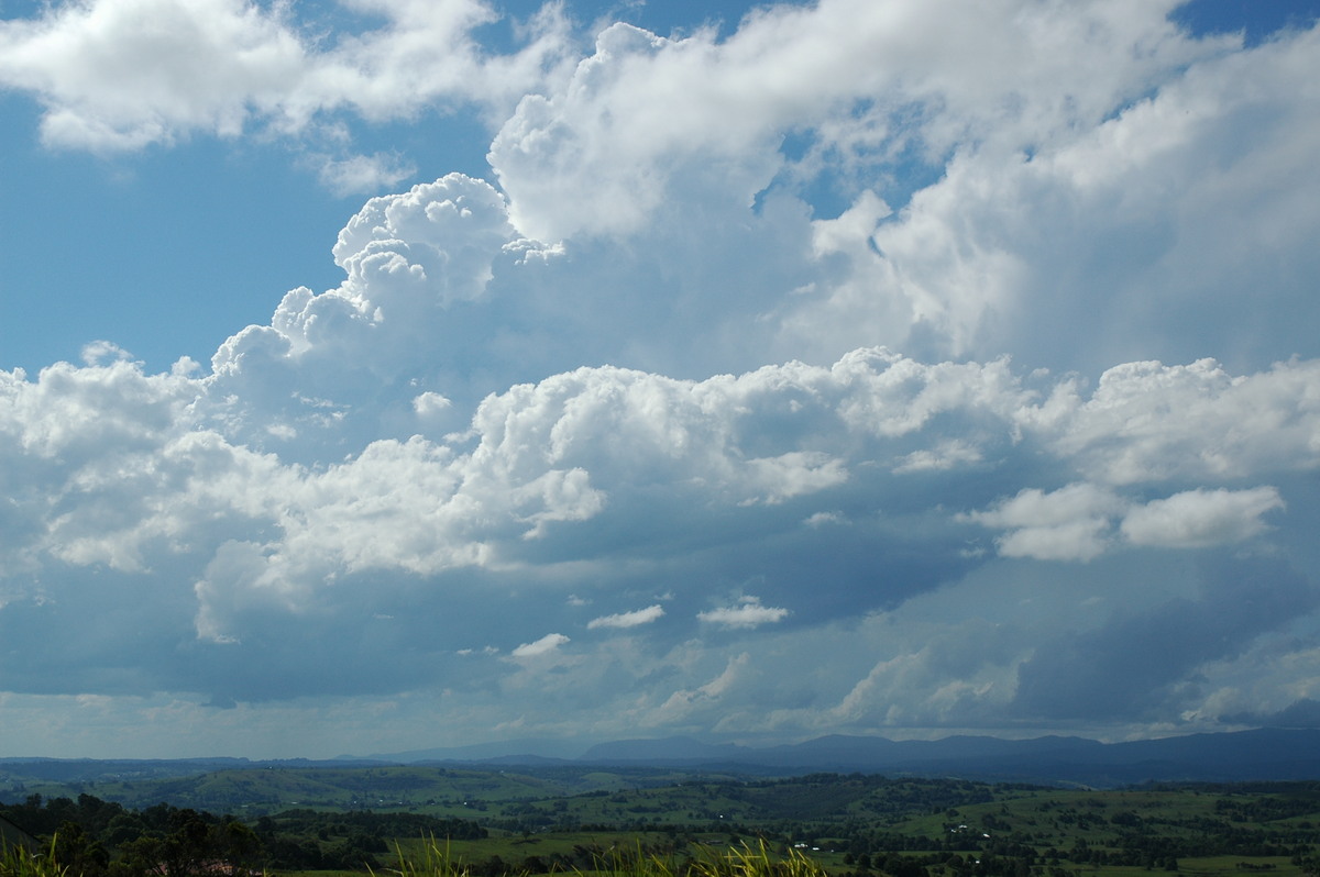 cumulus congestus : McLeans Ridges, NSW   23 October 2005