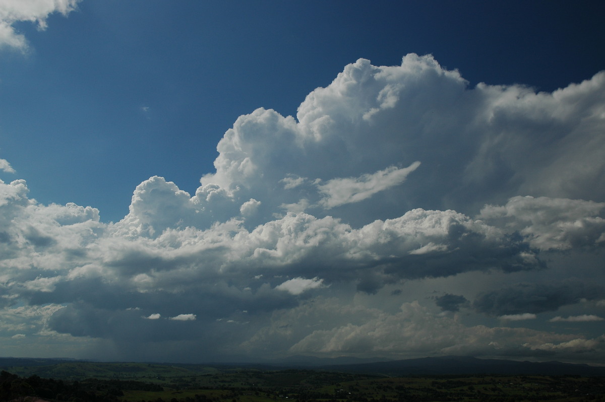 thunderstorm cumulonimbus_calvus : McLeans Ridges, NSW   23 October 2005