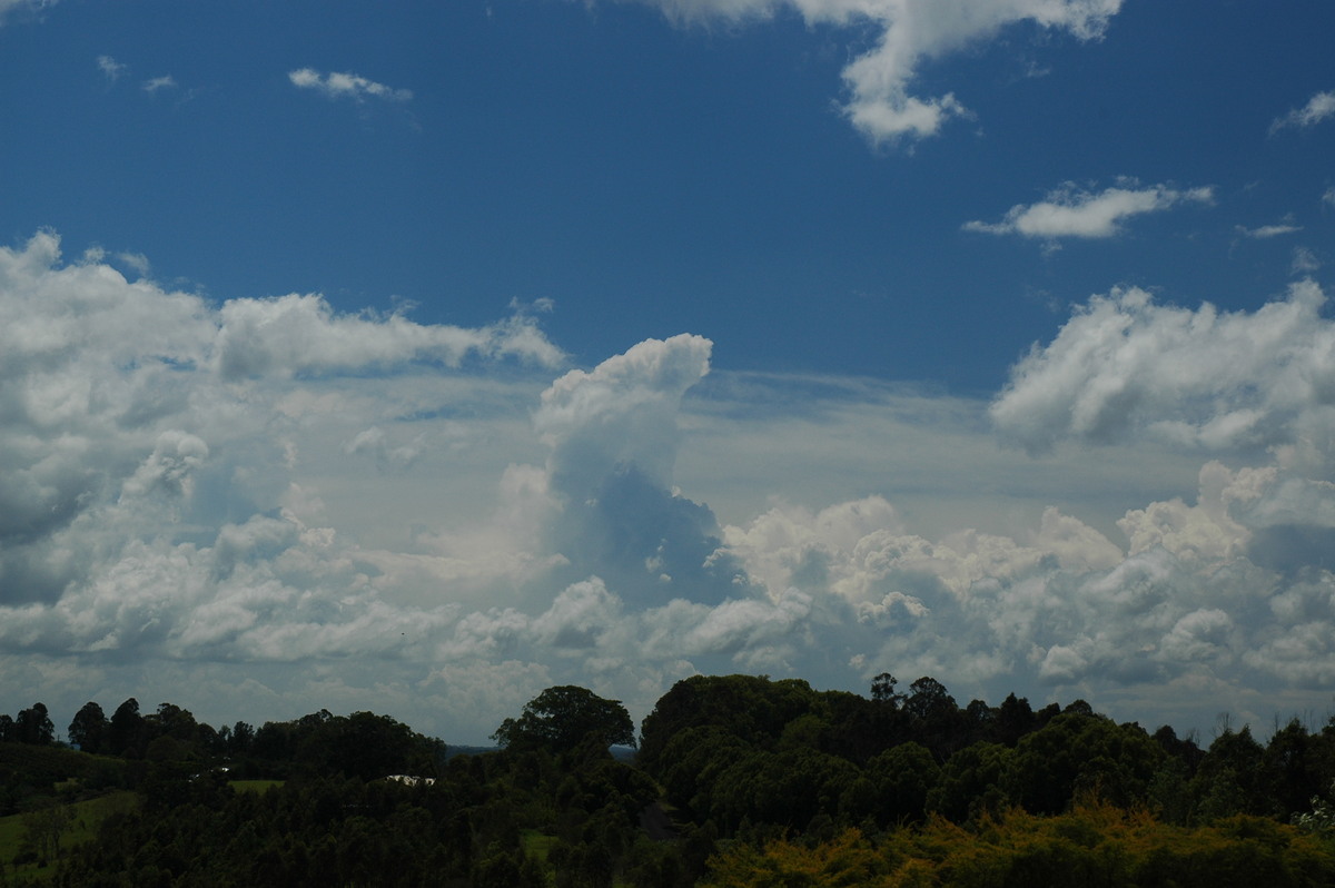 cumulus congestus : McLeans Ridges, NSW   25 October 2005