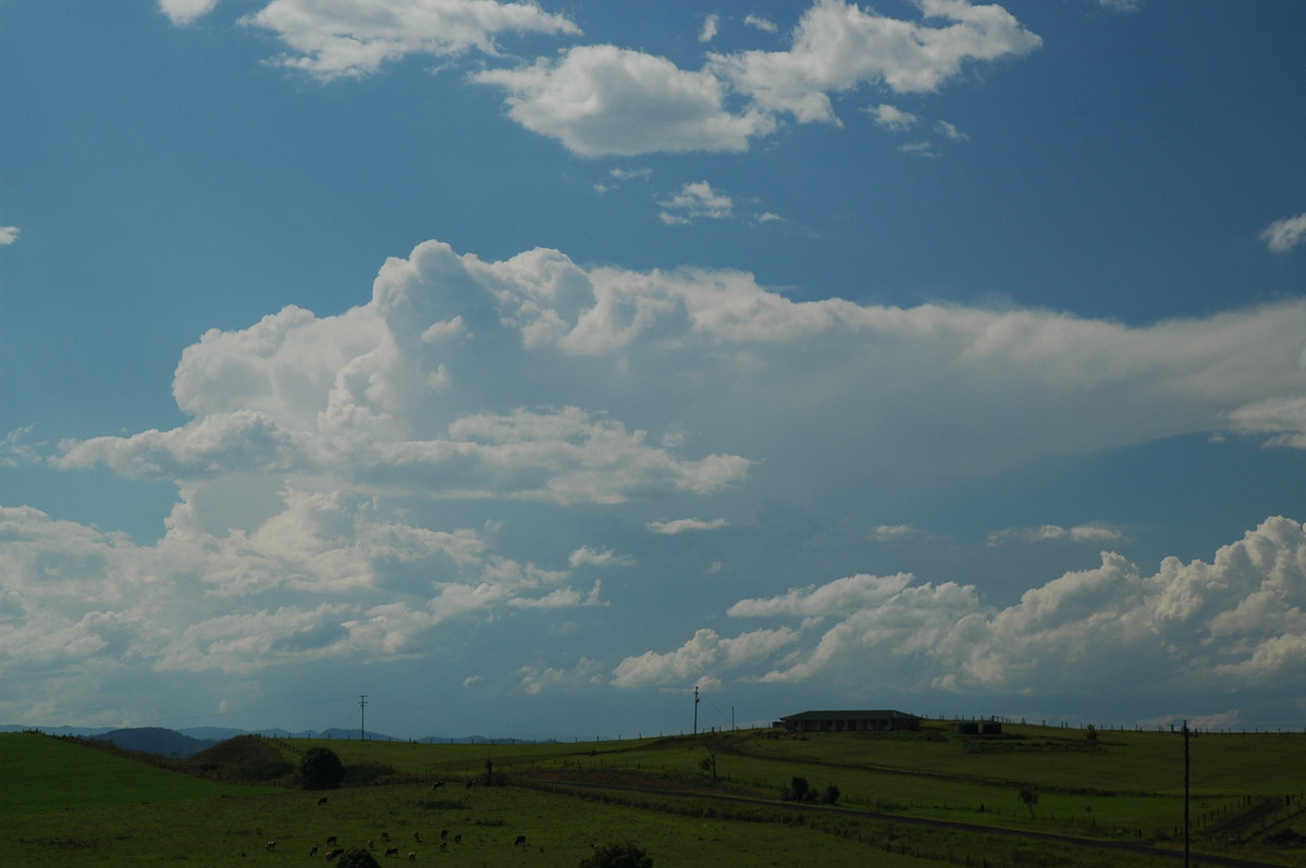 thunderstorm cumulonimbus_incus : near Kyogle, NSW   25 October 2005