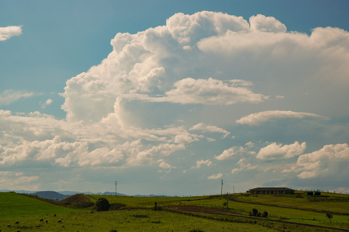 thunderstorm cumulonimbus_incus : near Kyogle, NSW   25 October 2005