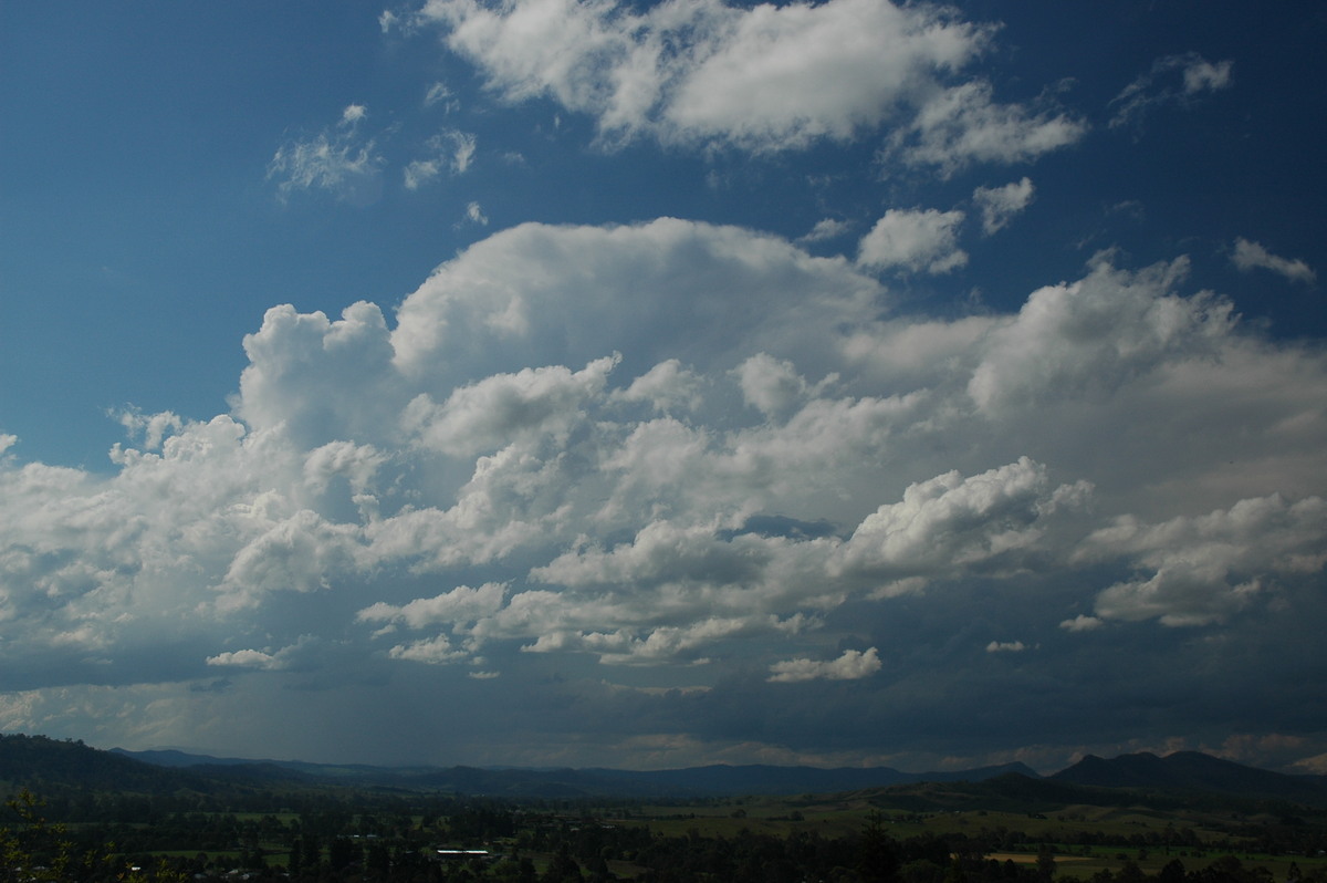 thunderstorm cumulonimbus_incus : Kyogle, NSW   25 October 2005