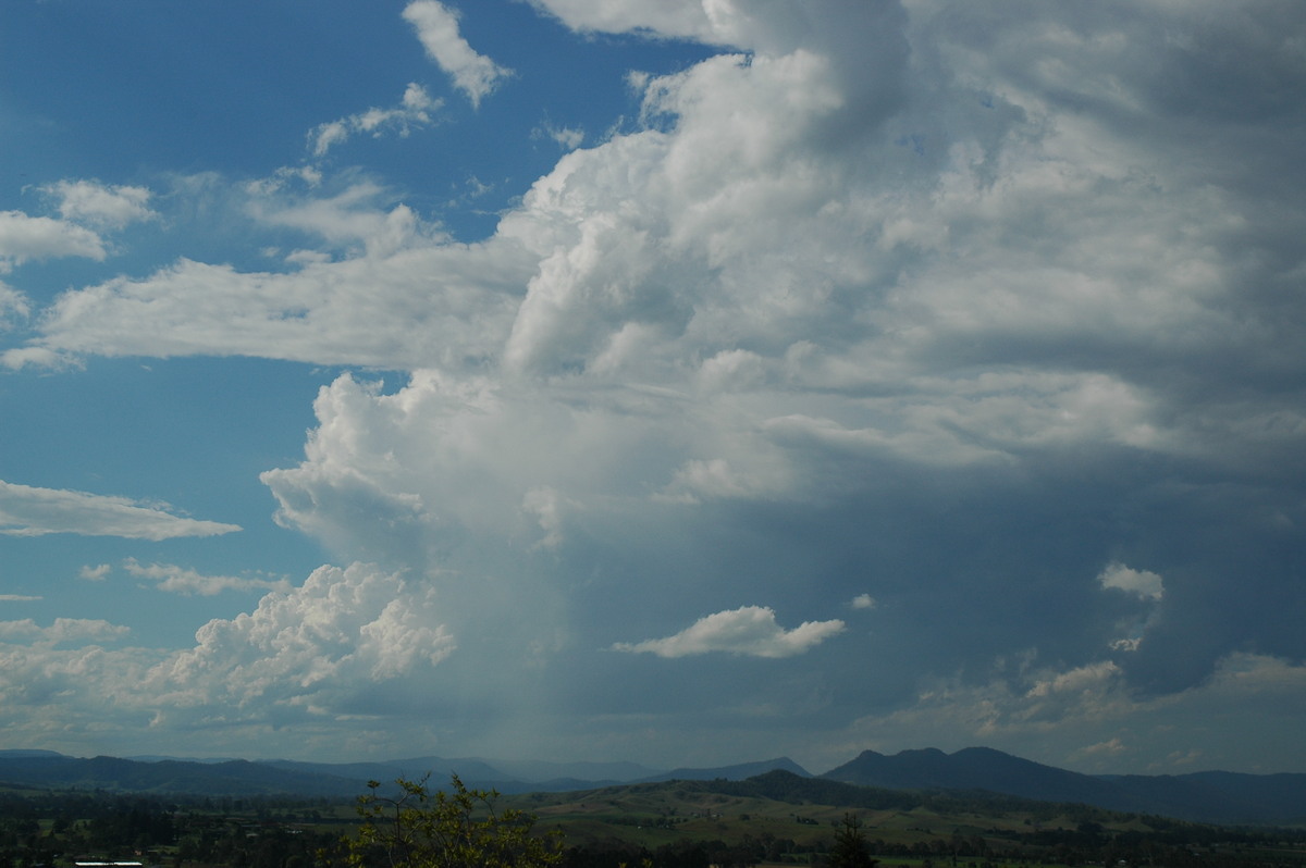 thunderstorm cumulonimbus_calvus : Kyogle, NSW   25 October 2005