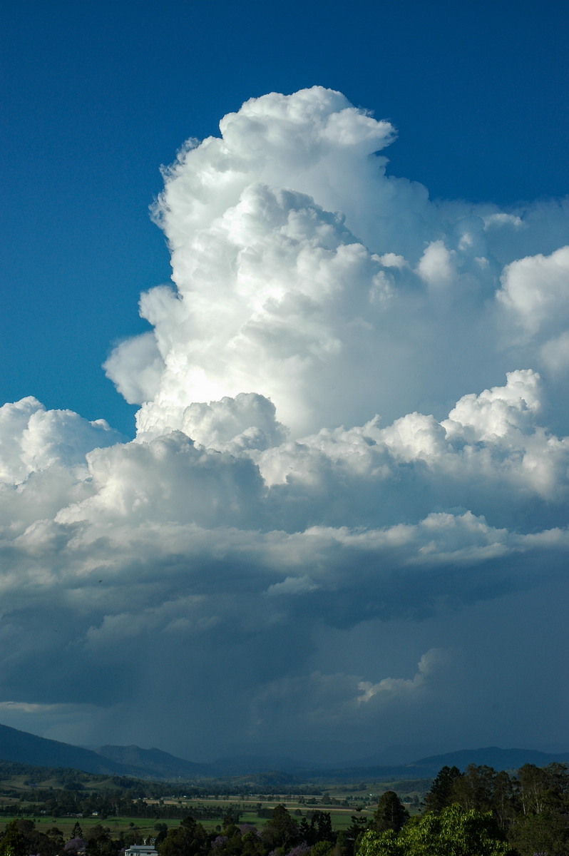 thunderstorm cumulonimbus_calvus : Kyogle, NSW   25 October 2005