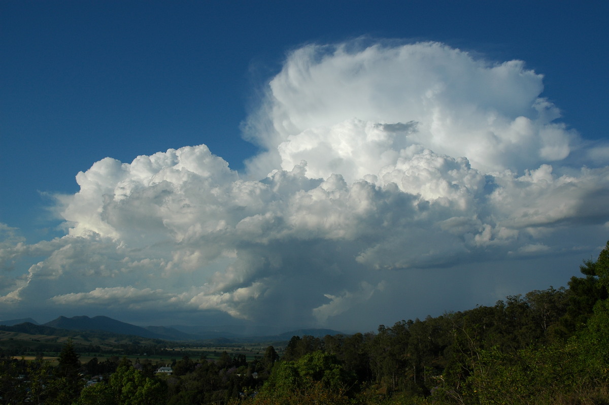 thunderstorm cumulonimbus_incus : Kyogle, NSW   25 October 2005