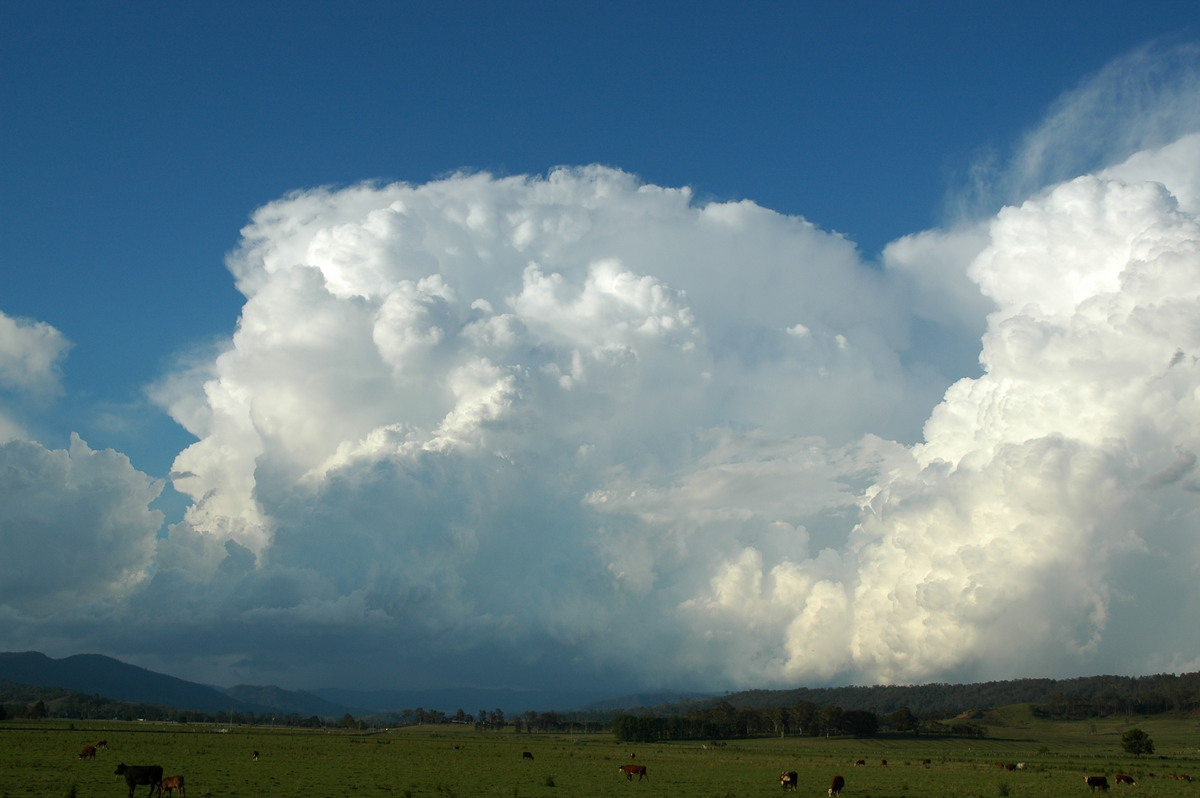 thunderstorm cumulonimbus_incus : Kyogle, NSW   25 October 2005