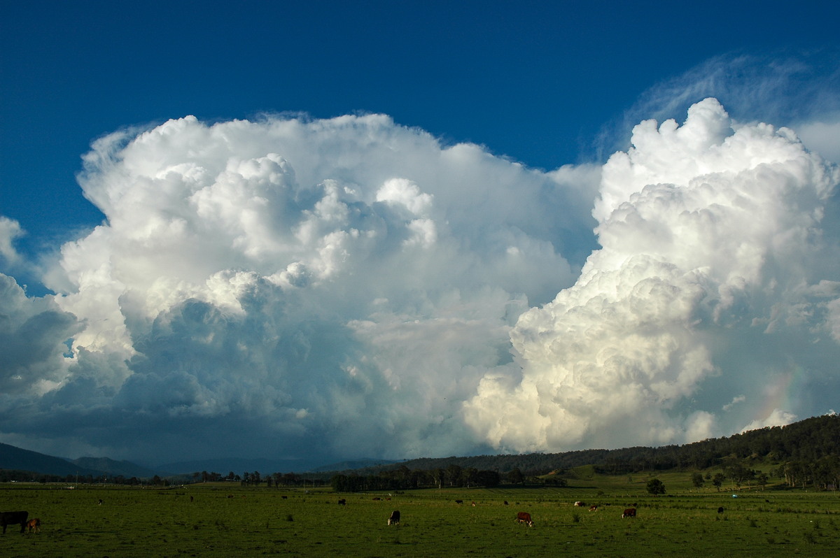 thunderstorm cumulonimbus_incus : Kyogle, NSW   25 October 2005