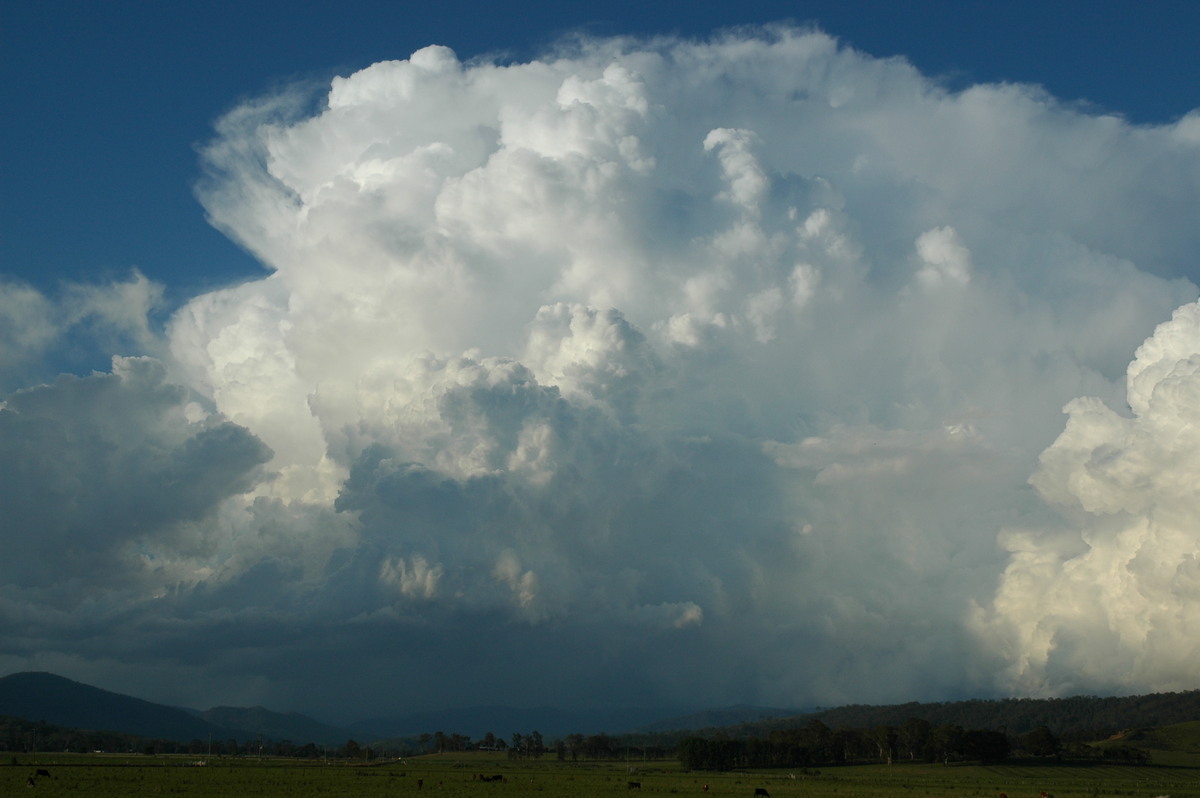 cumulonimbus thunderstorm_base : Kyogle, NSW   25 October 2005