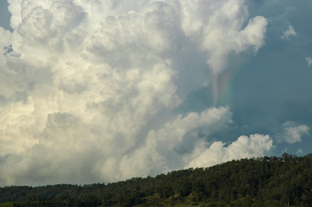 rainbow rainbow_pictures : Kyogle, NSW   25 October 2005