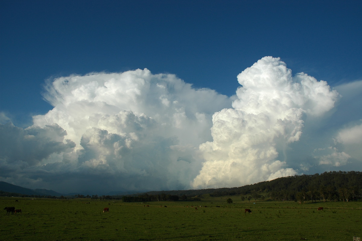 thunderstorm cumulonimbus_incus : Kyogle, NSW   25 October 2005