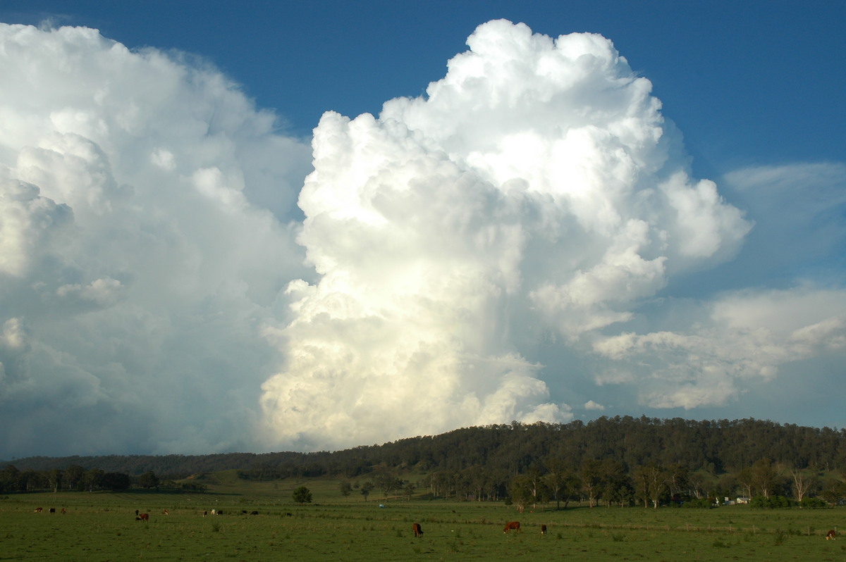 thunderstorm cumulonimbus_incus : Kyogle, NSW   25 October 2005