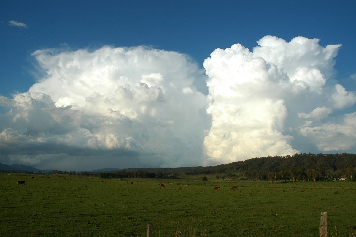 thunderstorm cumulonimbus_incus : Kyogle, NSW   25 October 2005