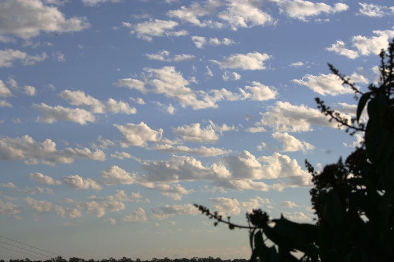 altocumulus castellanus : Schofields, NSW   27 October 2005