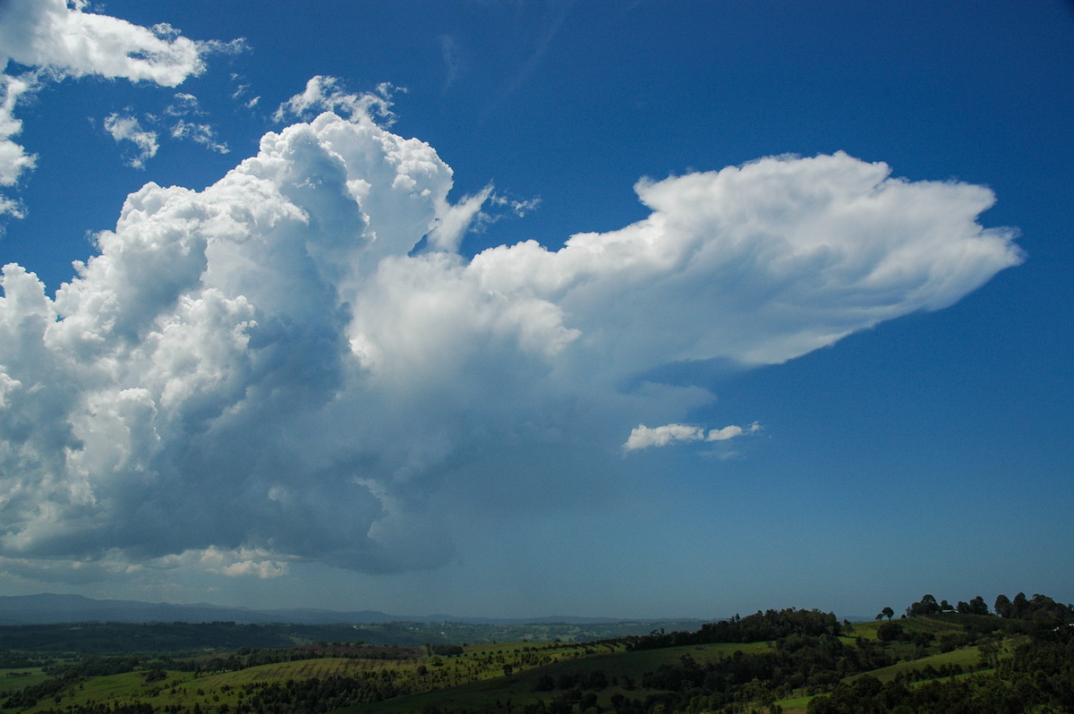 anvil thunderstorm_anvils : McLeans Ridges, NSW   27 October 2005