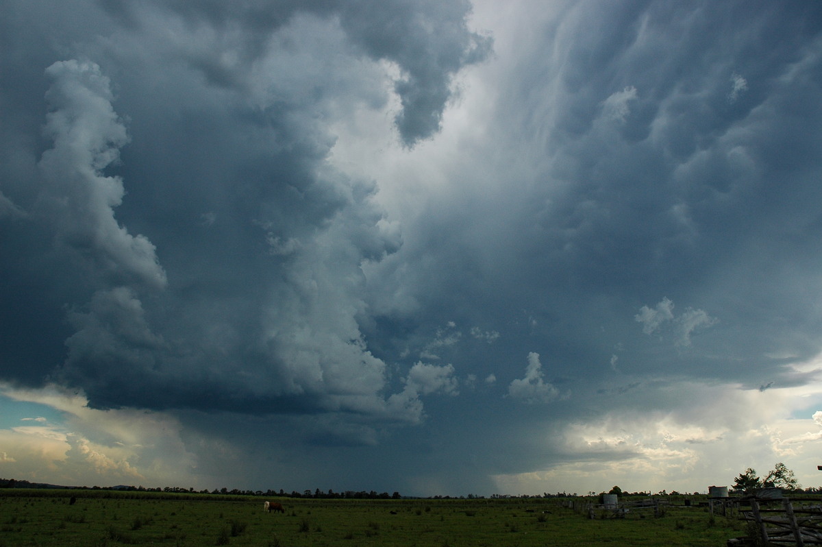 raincascade precipitation_cascade : near Coraki, NSW   27 October 2005