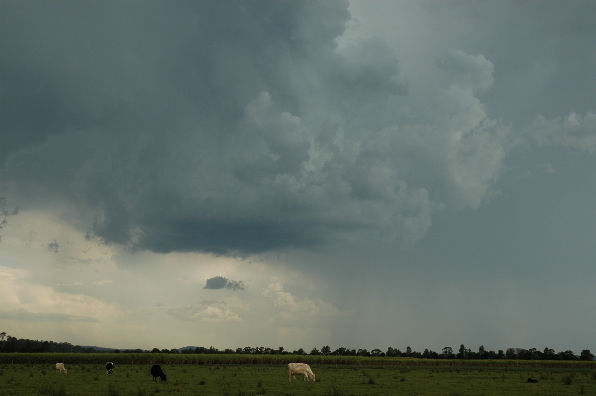 cumulonimbus thunderstorm_base : near Coraki, NSW   27 October 2005