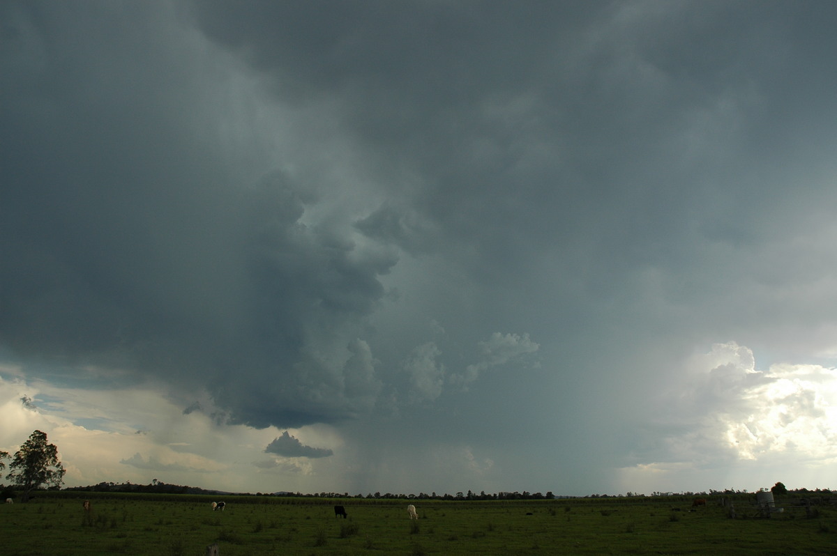 raincascade precipitation_cascade : near Coraki, NSW   27 October 2005