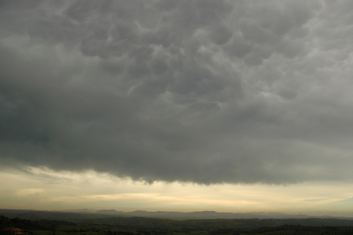 mammatus mammatus_cloud : McLeans Ridges, NSW   27 October 2005