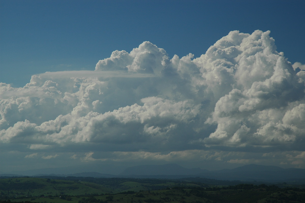 thunderstorm cumulonimbus_calvus : McLeans Ridges, NSW   28 October 2005