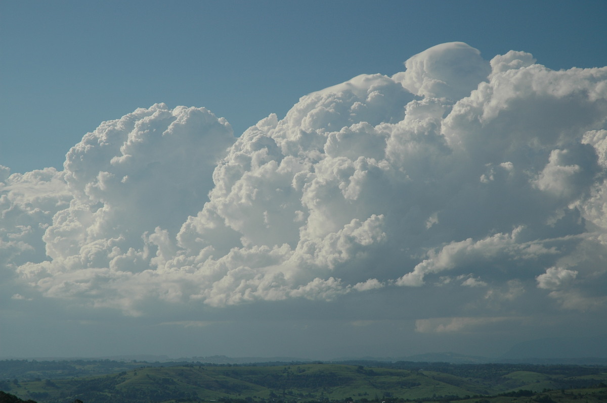 thunderstorm cumulonimbus_calvus : McLeans Ridges, NSW   28 October 2005