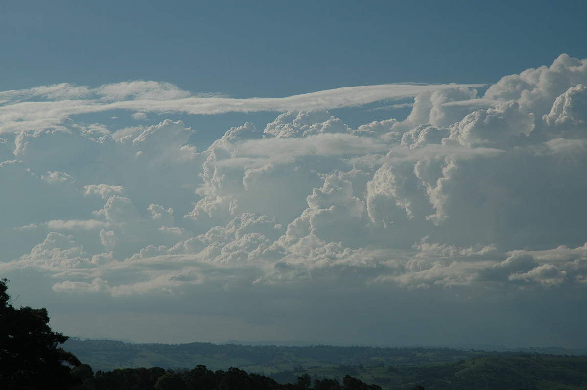 thunderstorm cumulonimbus_calvus : McLeans Ridges, NSW   28 October 2005