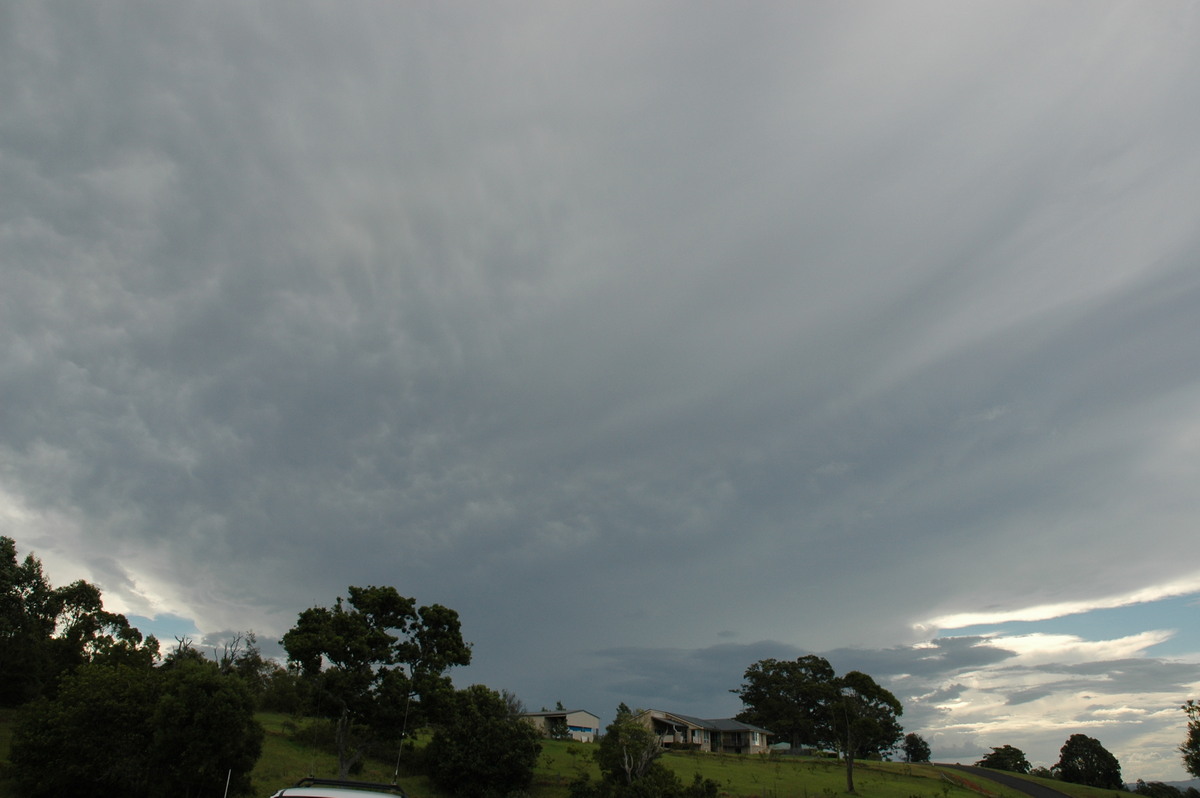 anvil thunderstorm_anvils : McLeans Ridges, NSW   5 November 2005