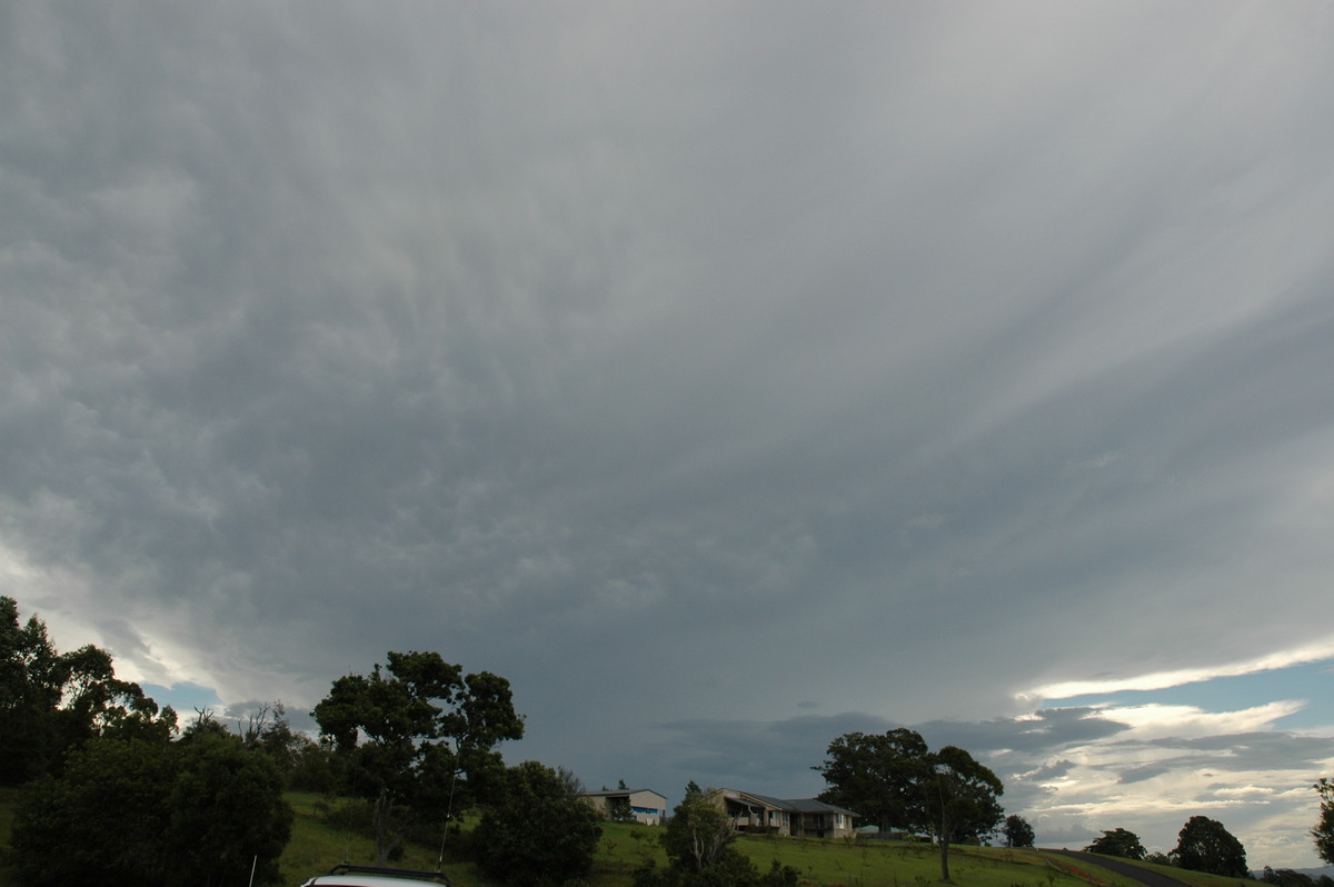 mammatus mammatus_cloud : McLeans Ridges, NSW   5 November 2005