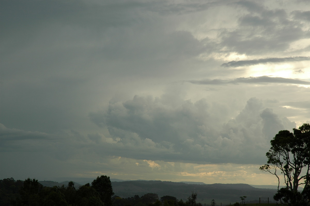 cumulus congestus : Tregeagle, NSW   5 November 2005