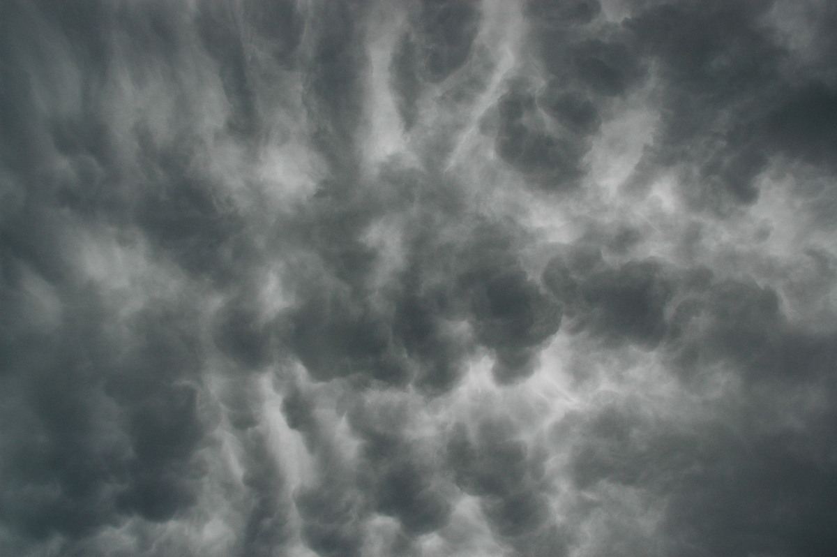 mammatus mammatus_cloud : Tregeagle, NSW   5 November 2005