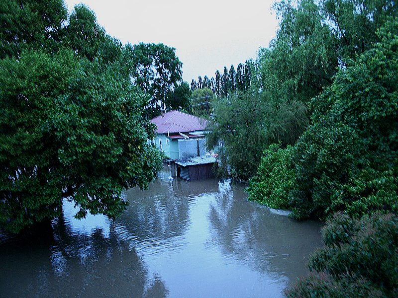 flashflooding flood_pictures : Molong, NSW   8 November 2005