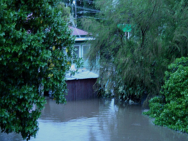 flashflooding flood_pictures : Molong, NSW   8 November 2005