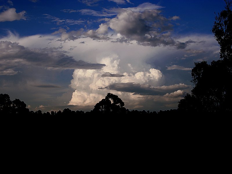 thunderstorm cumulonimbus_incus : Kurmond, NSW   8 November 2005