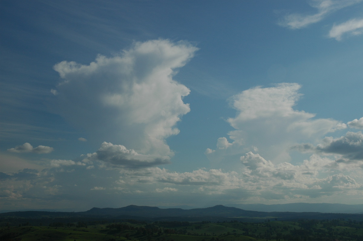 thunderstorm cumulonimbus_incus : Mallanganee NSW   9 November 2005