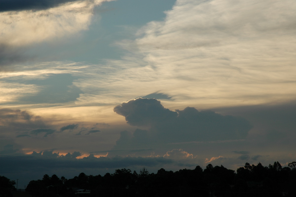 cumulus congestus : Casino, NSW   9 November 2005