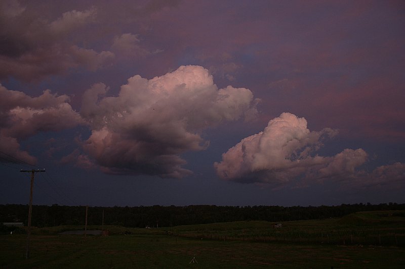 cumulus mediocris : Schofields, NSW   10 November 2005