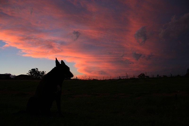 altostratus altostratus_cloud : Schofields, NSW   10 November 2005