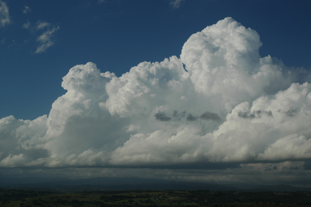 cumulus congestus : McLeans Ridges, NSW   13 November 2005