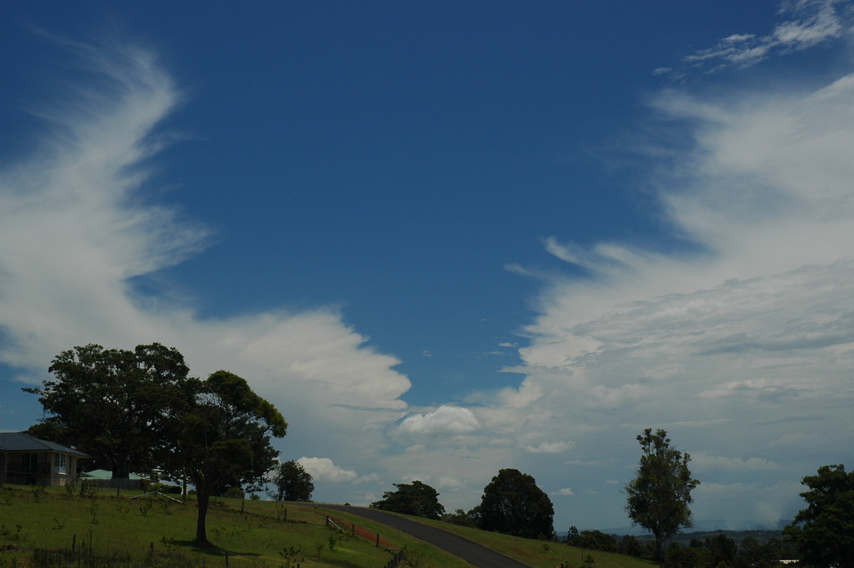 anvil thunderstorm_anvils : McLeans Ridges, NSW   15 November 2005