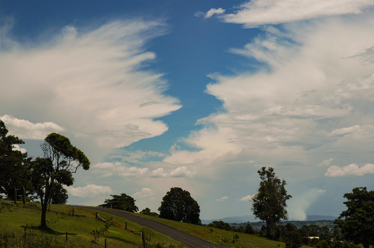 anvil thunderstorm_anvils : McLeans Ridges, NSW   15 November 2005