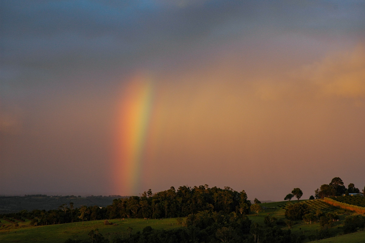 rainbow rainbow_pictures : McLeans Ridges, NSW   17 November 2005